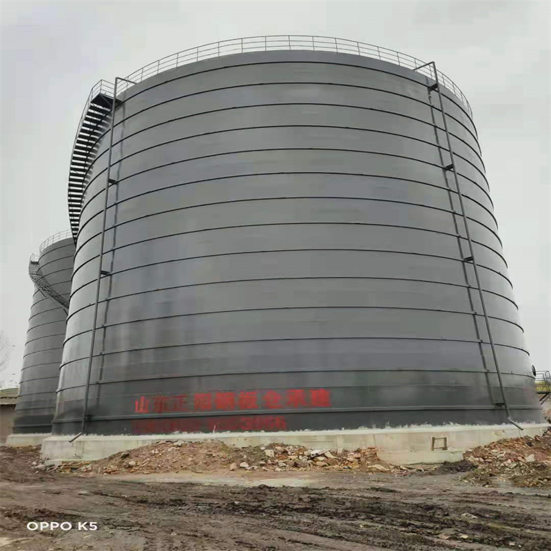 临洮3万吨大型钢板库